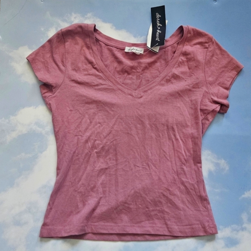 Blush Pink Basic V-Neck Crop Tee Mauve Top Casual Basic Top